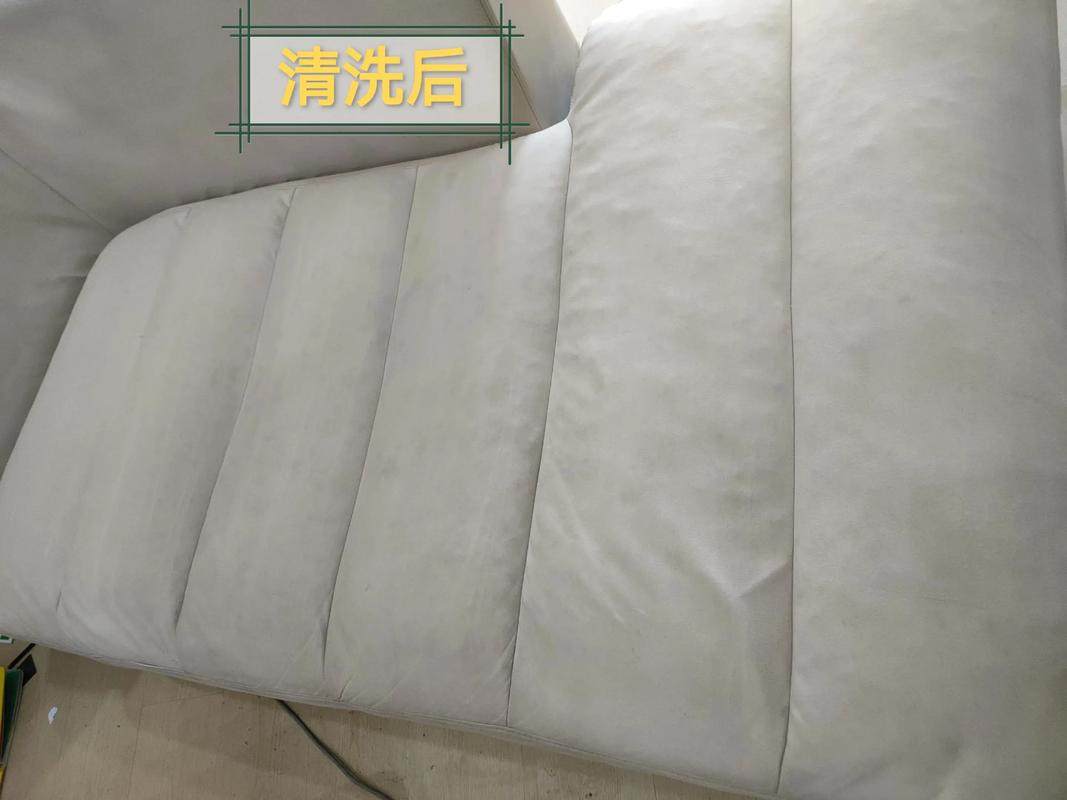 宠物家庭科技布沙发易脏?跟着爆款清洁好物清单 轻松去污除味(图3)