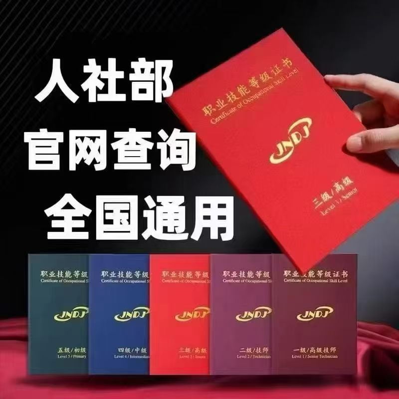职业技能等级证书（全国可查）